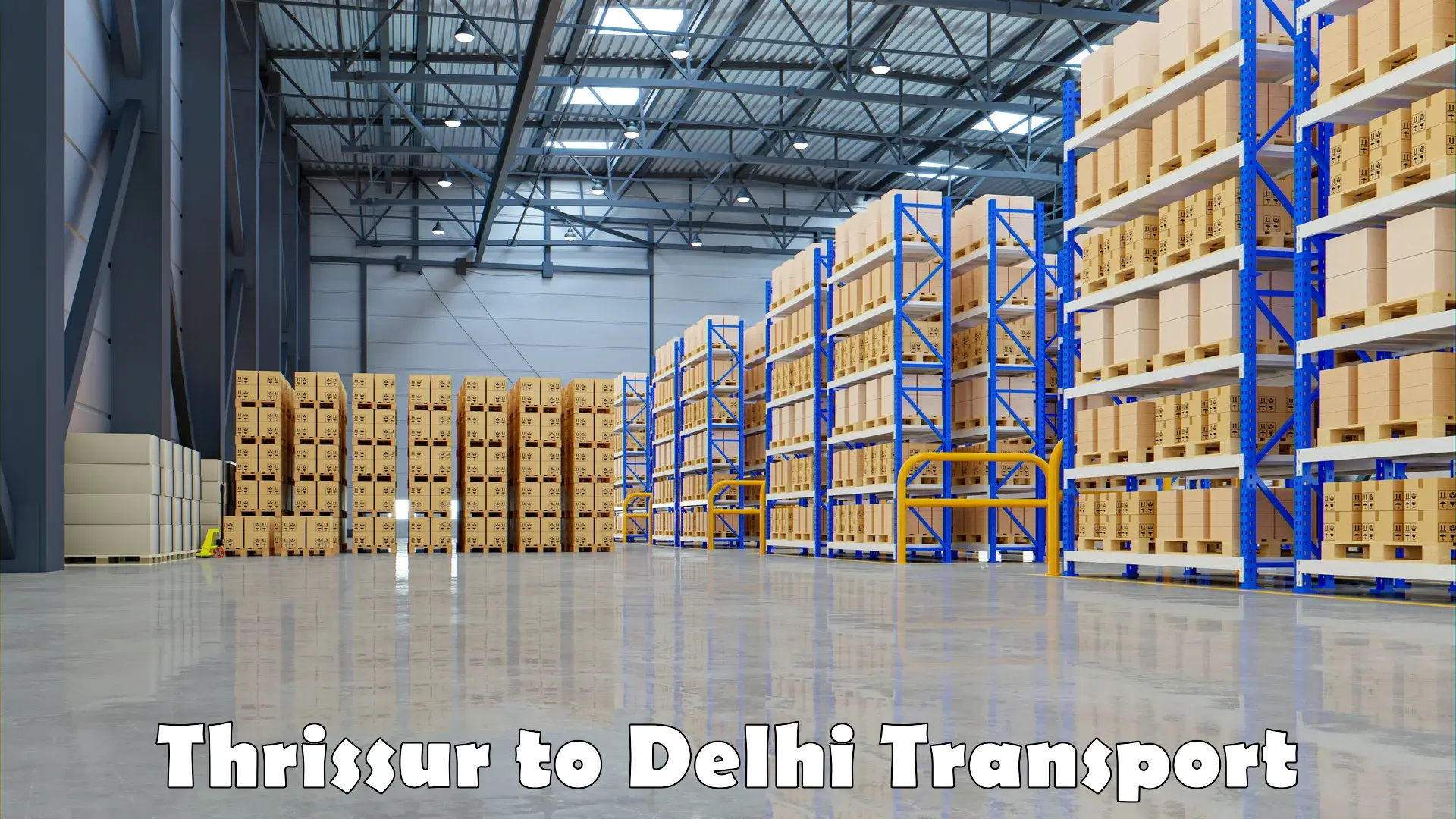 Luggage transport services Thrissur to Delhi