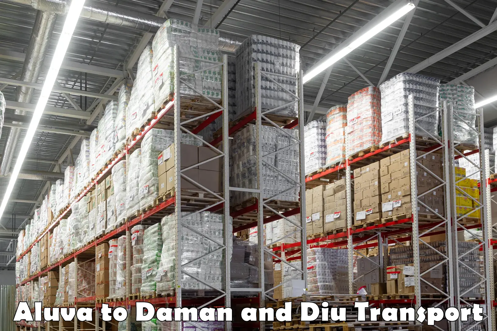 Parcel transport services in Aluva to Daman and Diu