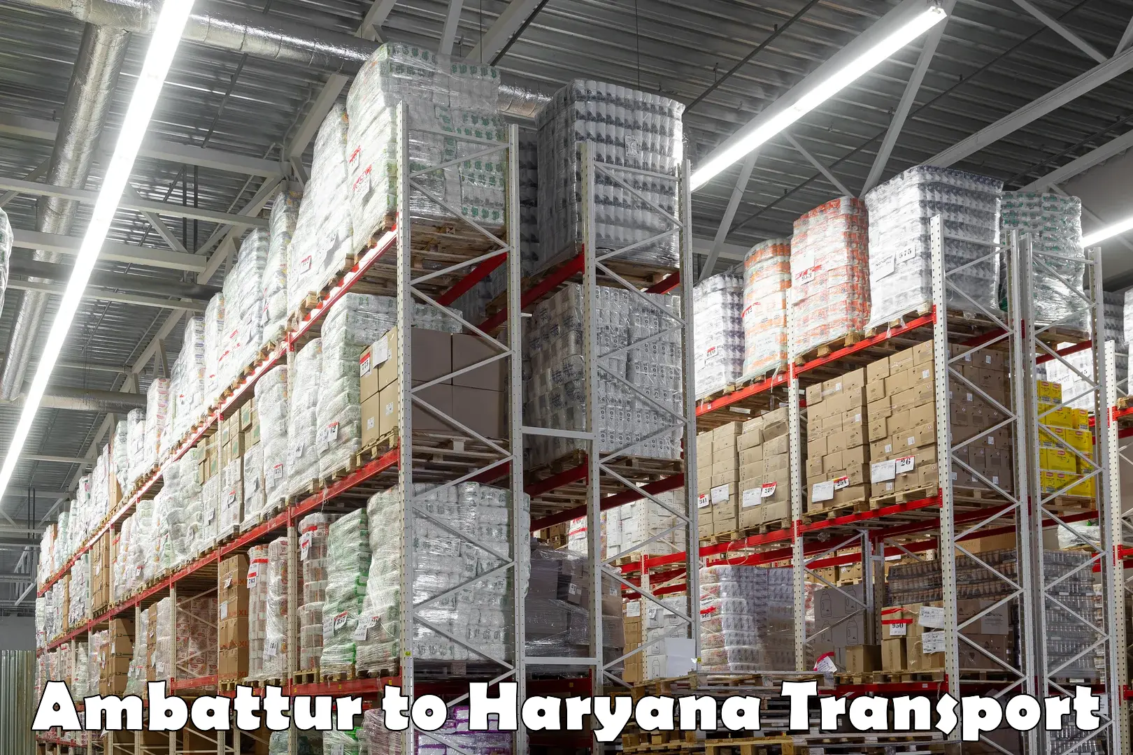 Cargo transport services Ambattur to Chaudhary Charan Singh Haryana Agricultural University Hisar