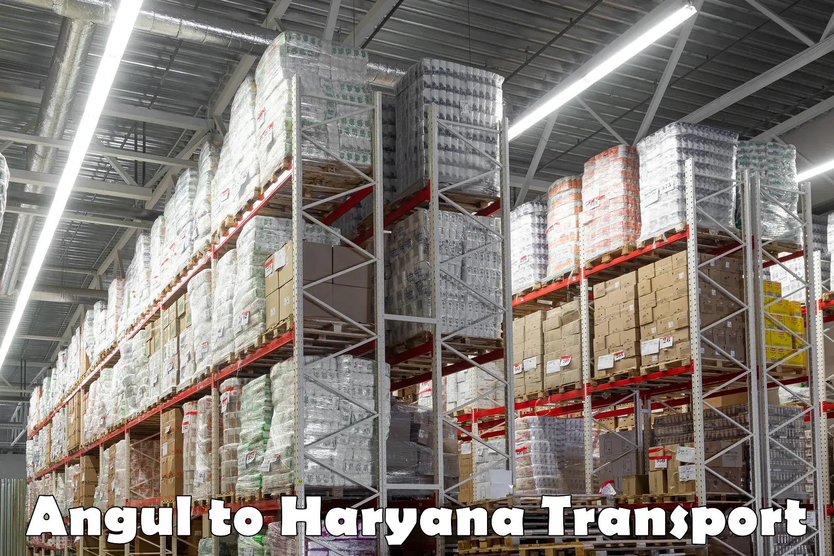 Air freight transport services in Angul to Haryana