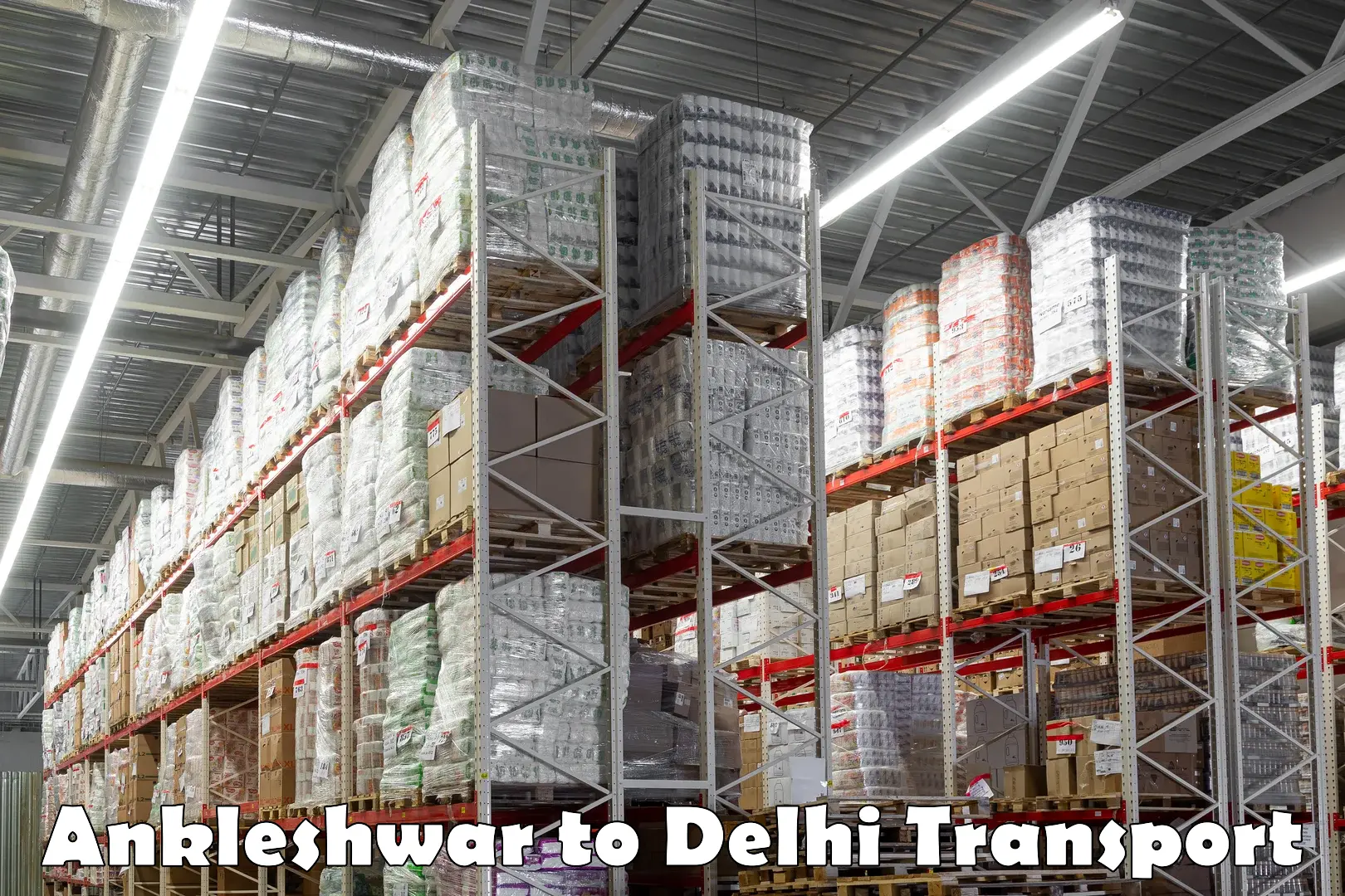 Logistics transportation services in Ankleshwar to NIT Delhi