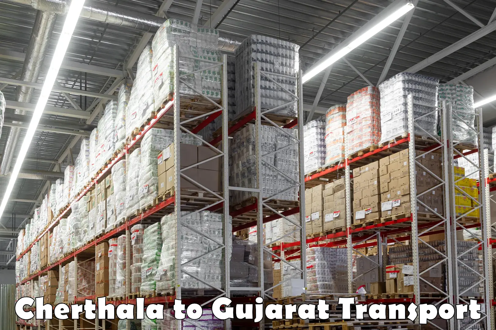 Two wheeler parcel service in Cherthala to Patan Gujarat
