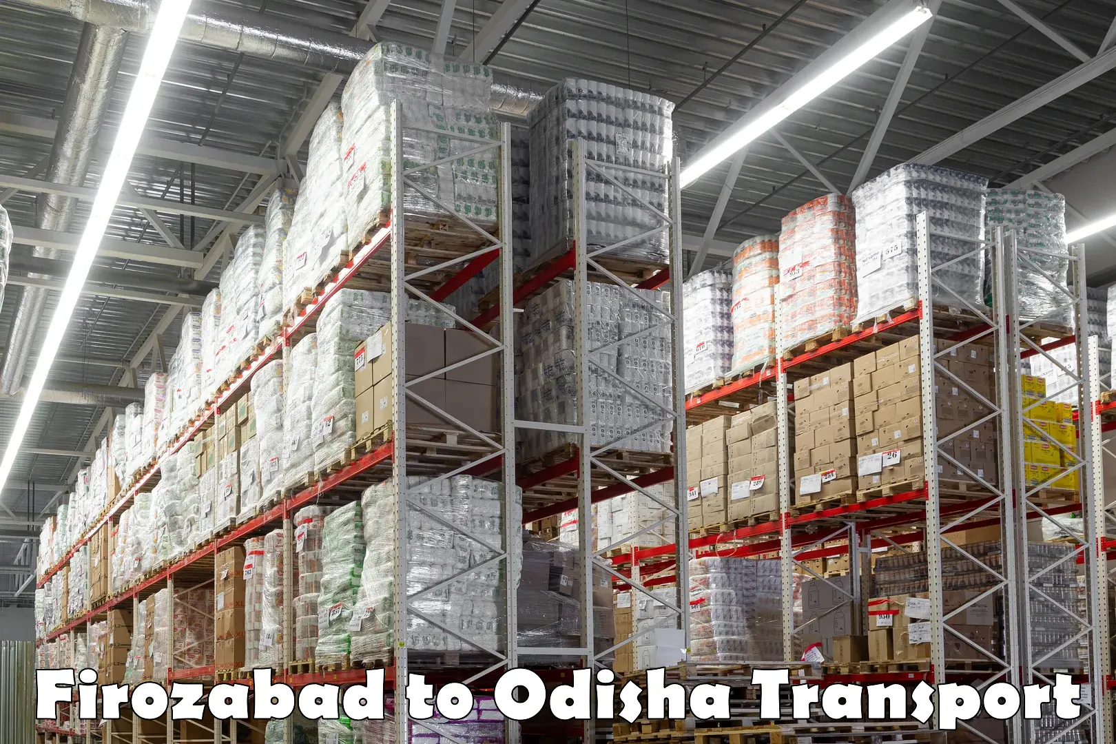 Domestic transport services Firozabad to Odisha