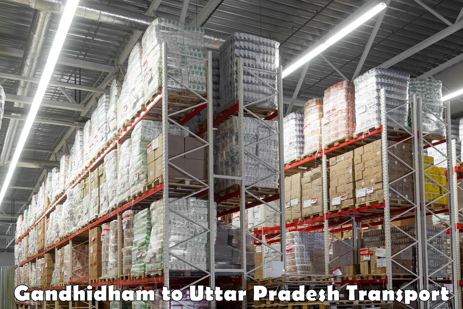 Express transport services in Gandhidham to Uttar Pradesh