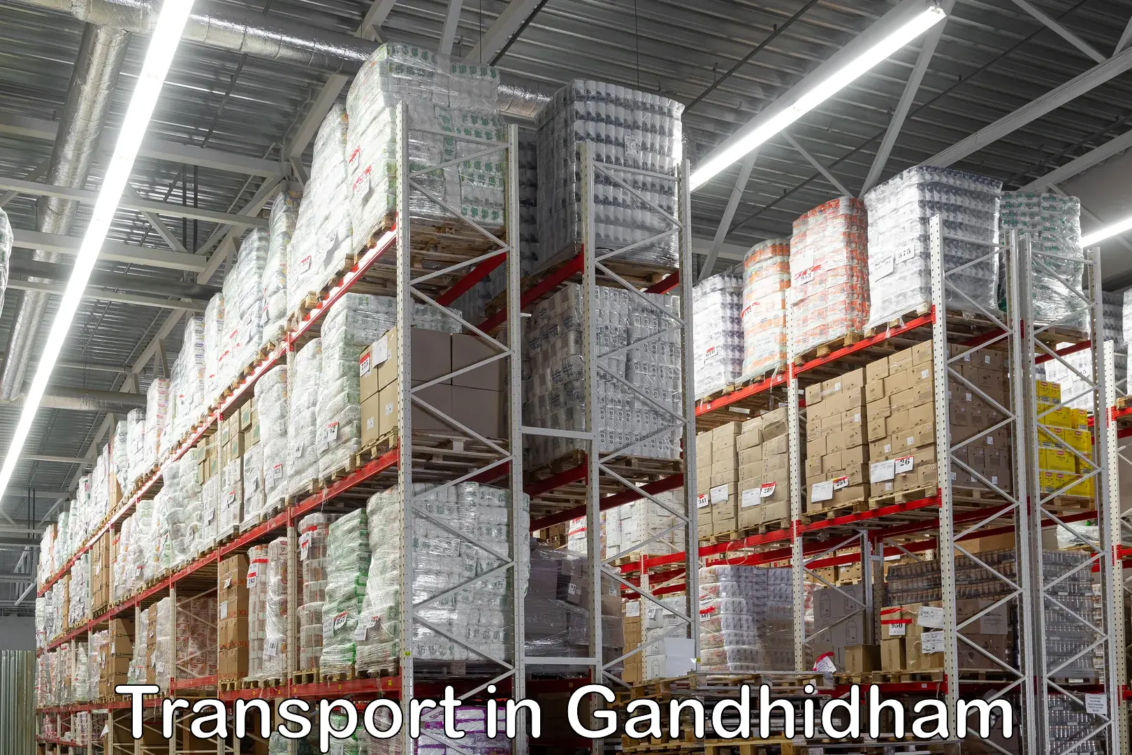 International cargo transportation services in Gandhidham