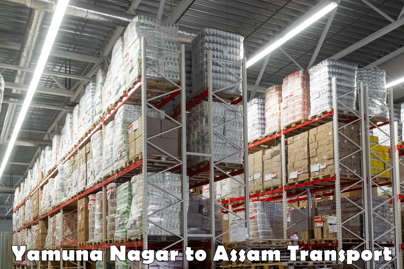 International cargo transportation services Yamuna Nagar to Assam