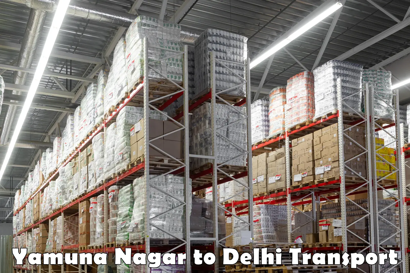 Nearby transport service in Yamuna Nagar to Jamia Millia Islamia New Delhi