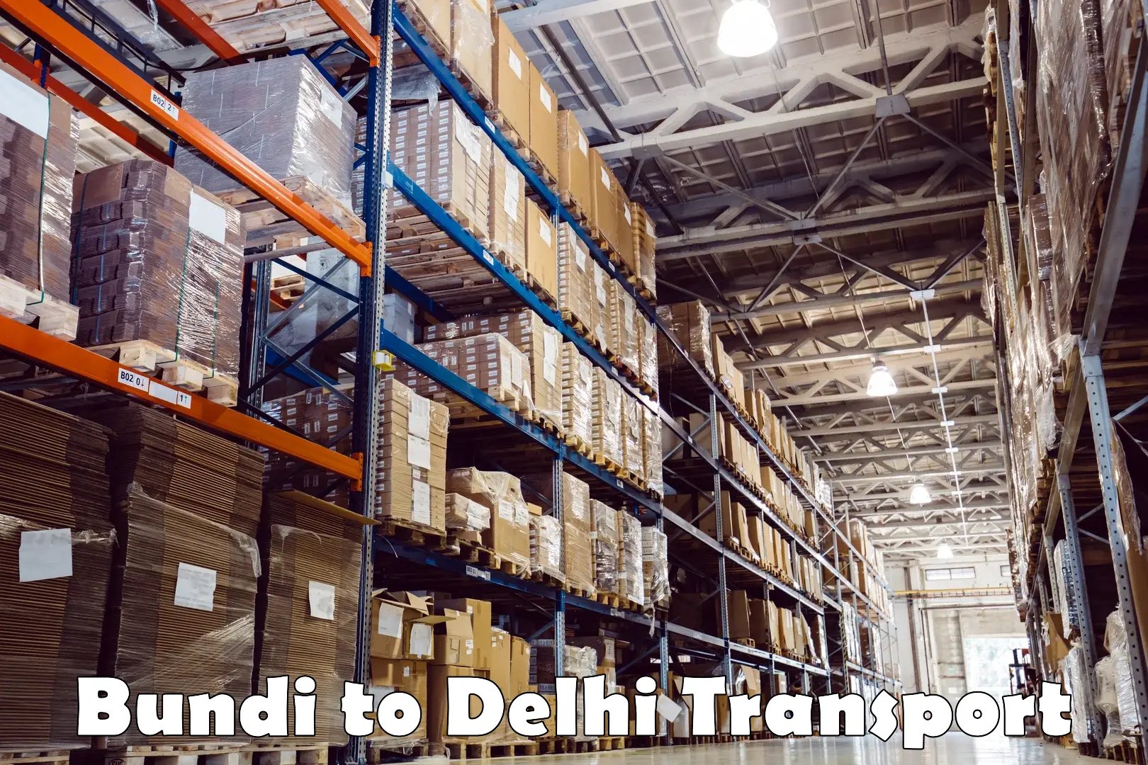 Air cargo transport services Bundi to Delhi
