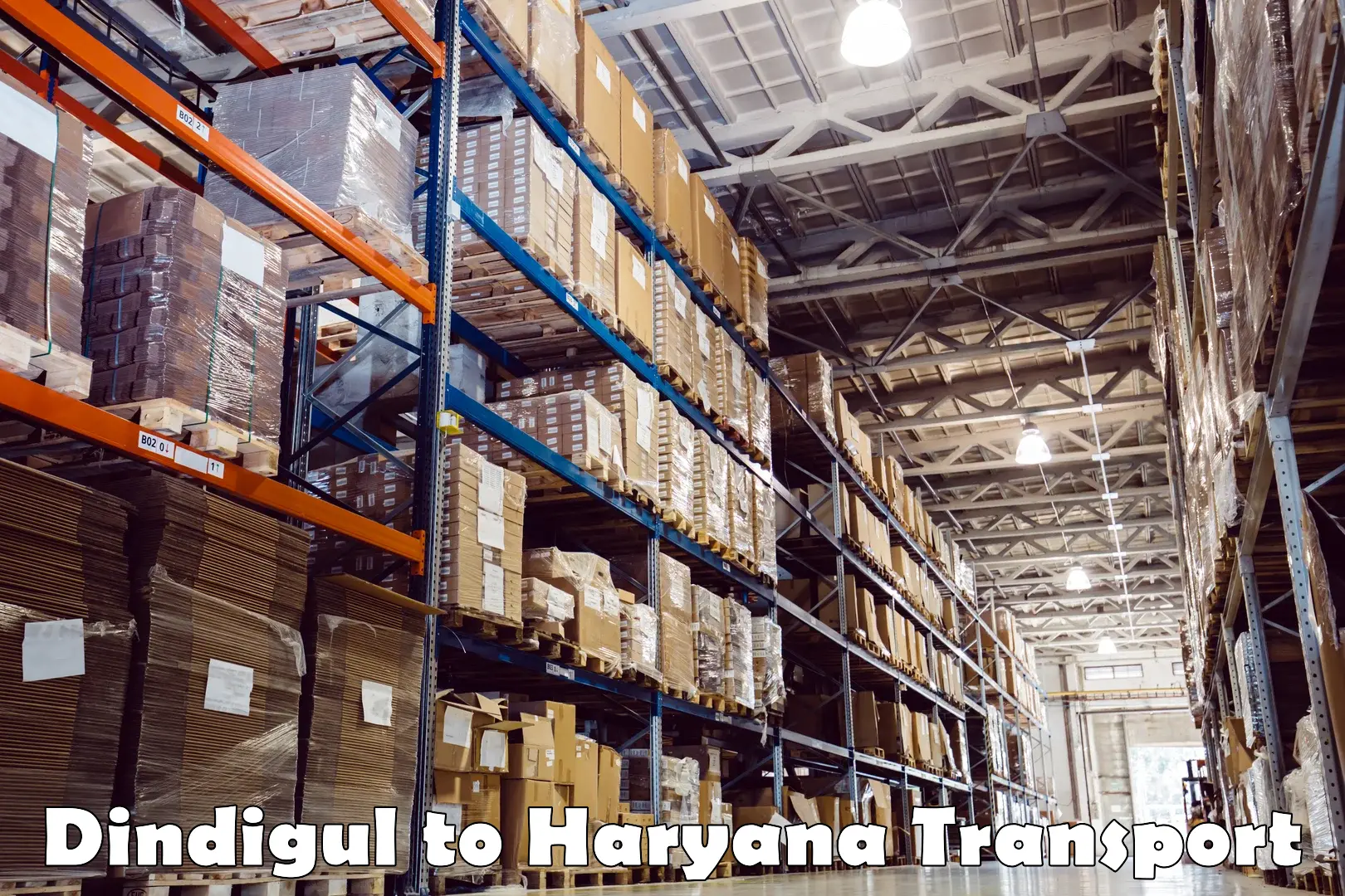 Lorry transport service Dindigul to Haryana