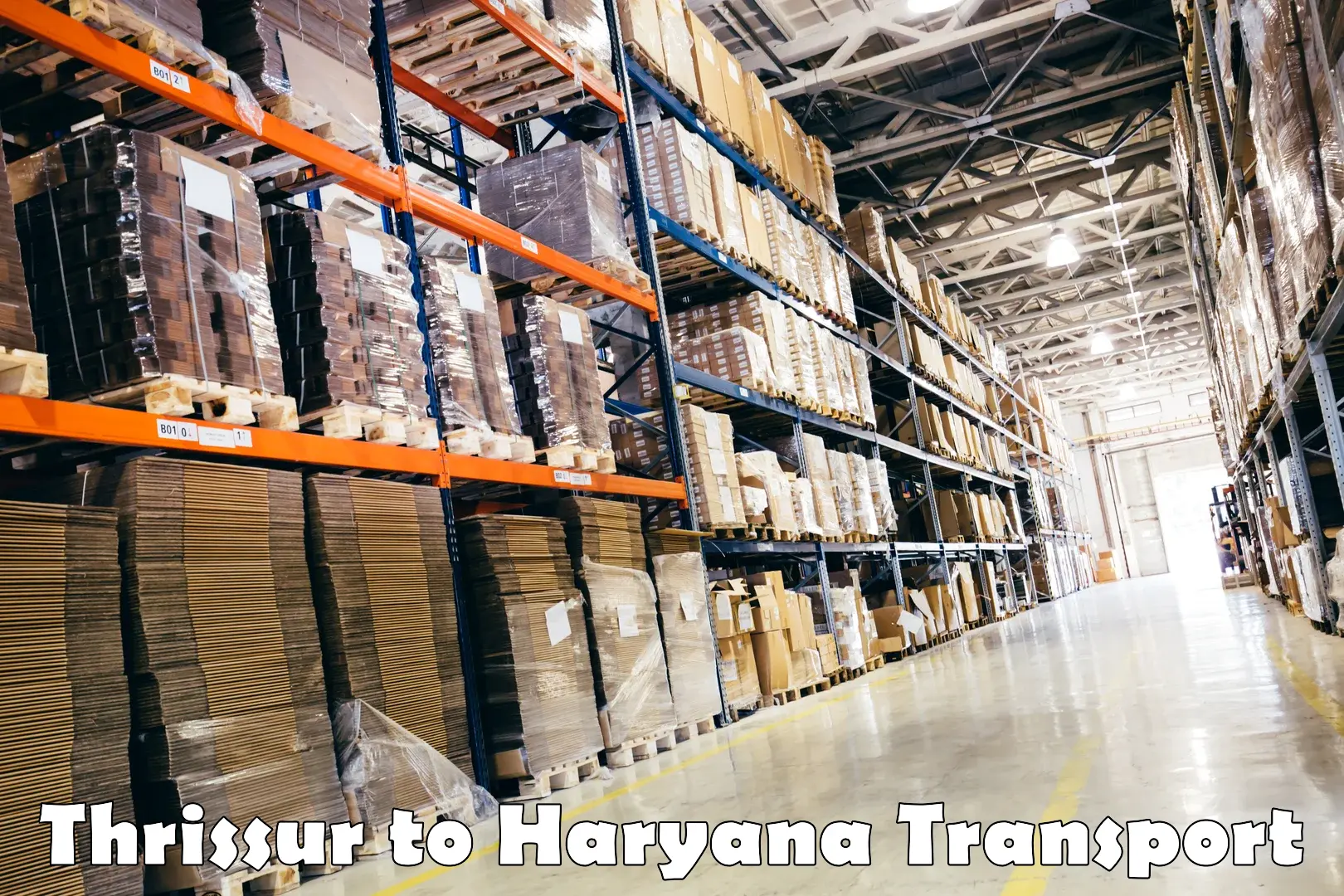 Cargo transport services Thrissur to NCR Haryana