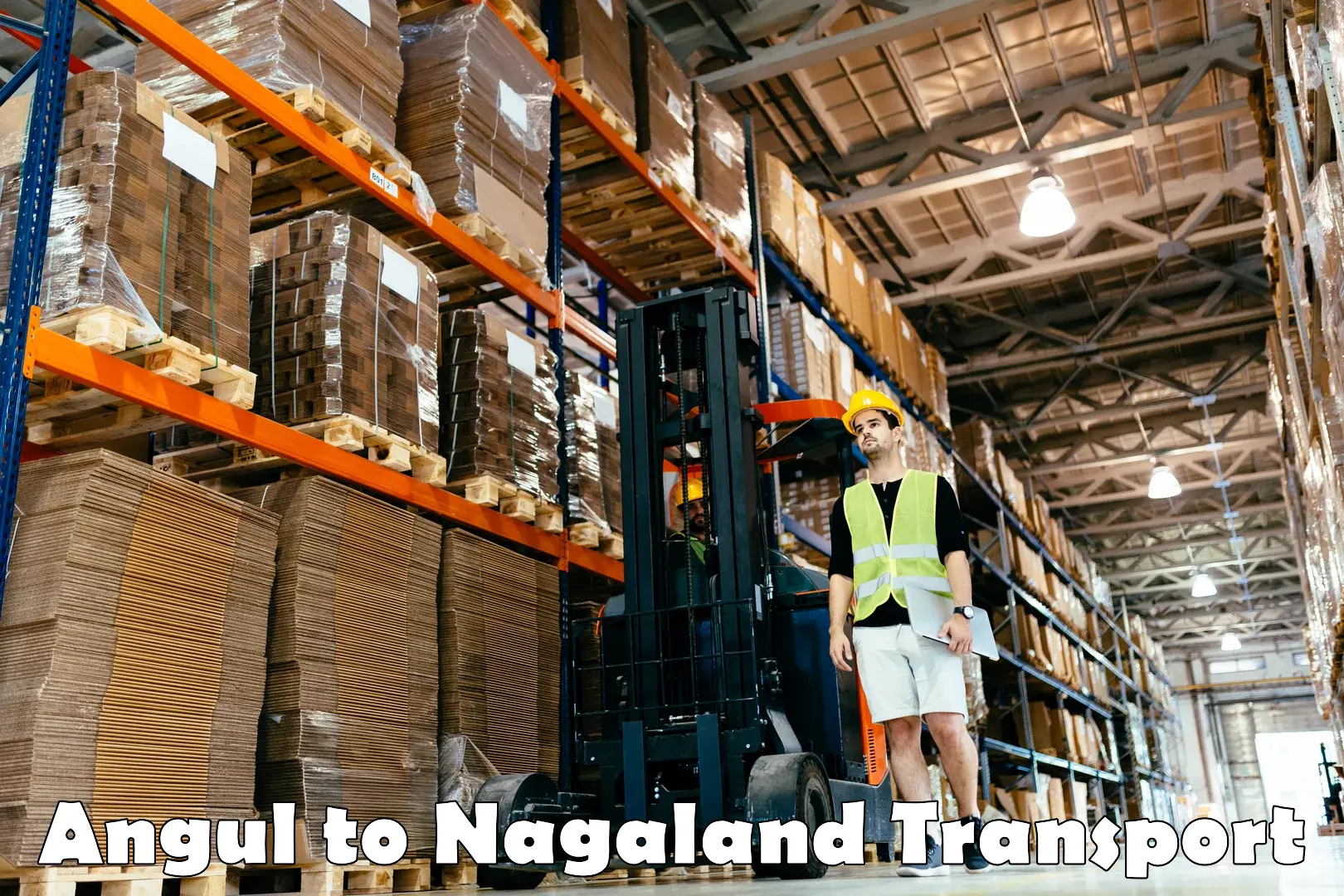 Container transport service Angul to Nagaland