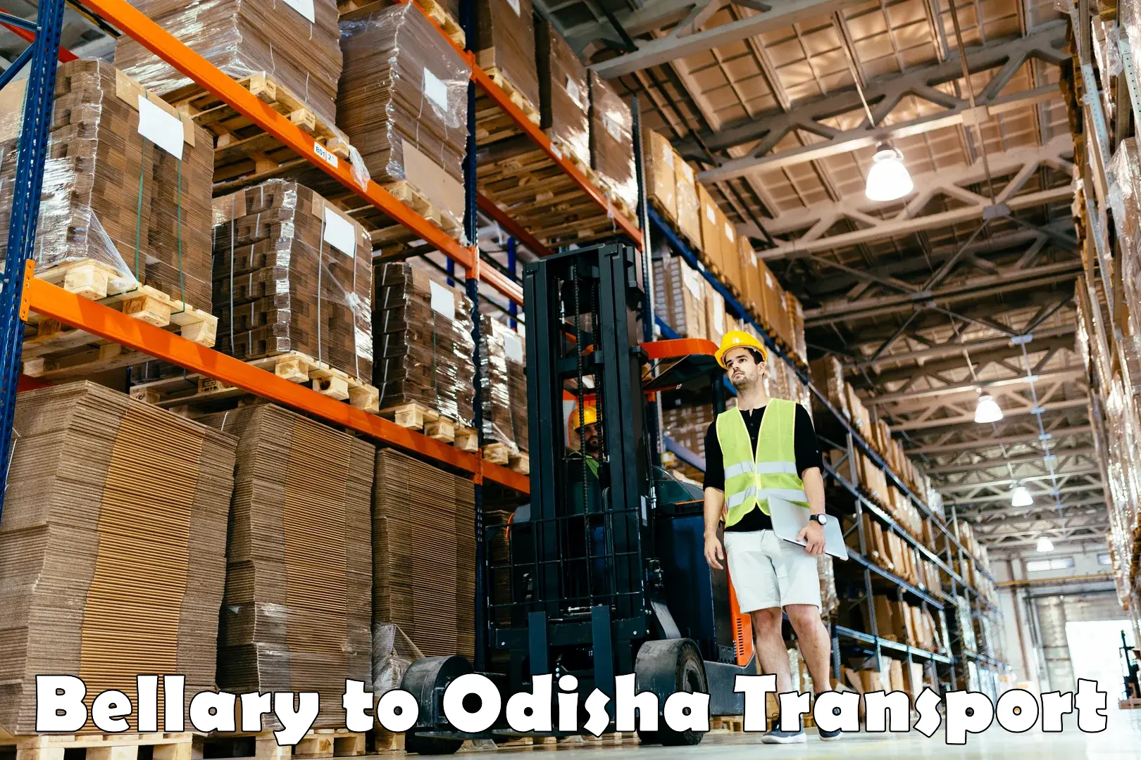 Container transportation services in Bellary to Ghuntagadia