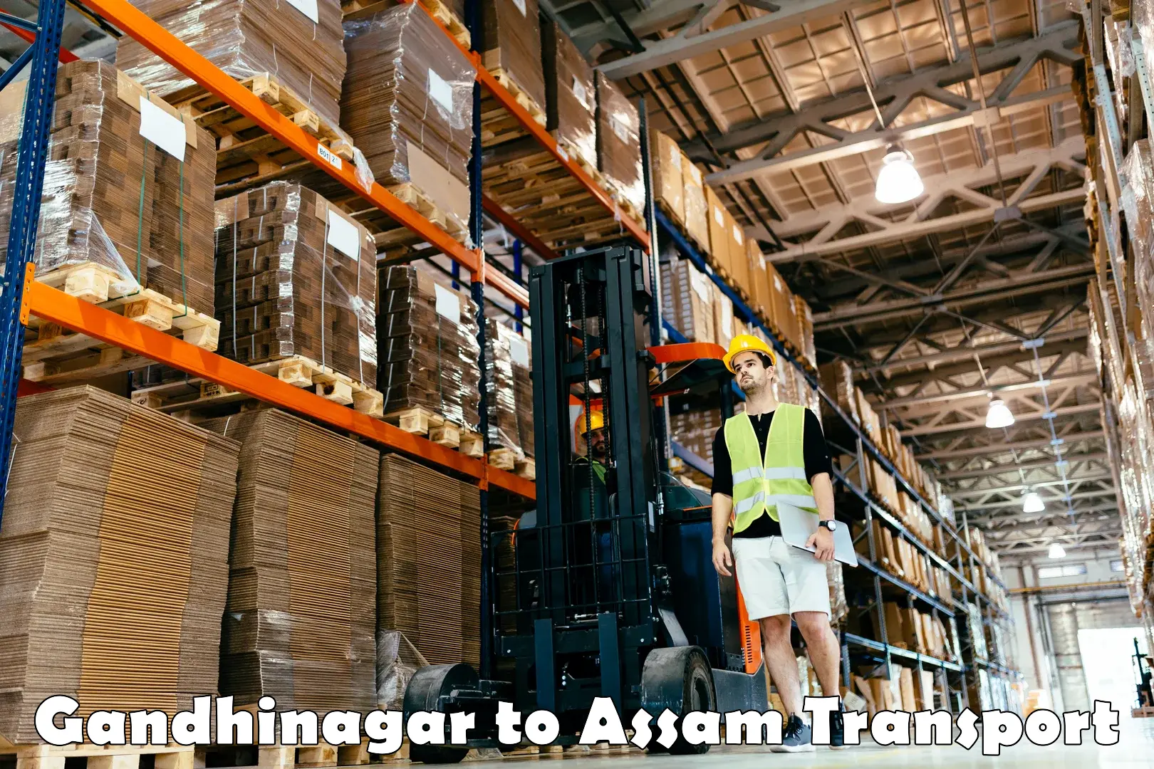 Two wheeler parcel service Gandhinagar to Assam